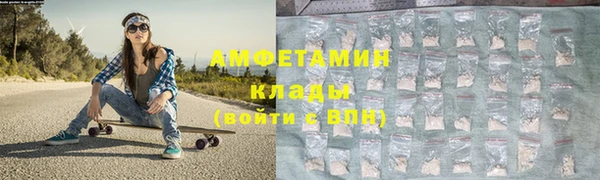 шишки Великий Новгород