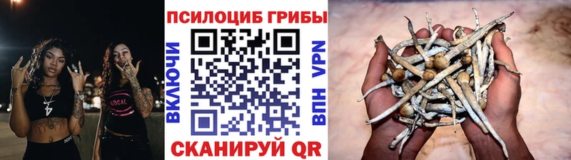Купить закладки Ленинск-Кузнецкий Псилоцибиновые грибы ЛСД